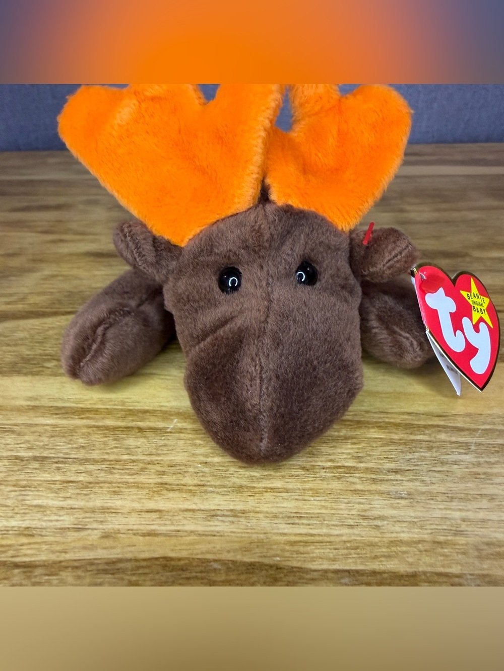 Vintage Ty Beanie Baby Moose Chocolate Style 4015 4th Generation Hanging Tag Tus
